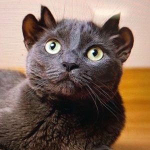 Meet your Posher, Kaitlyn